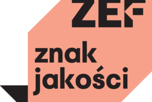 ZEF Filmowe Okno na Europę – jeden z 15 projektów wyróżnionych w ramach programu Collaborate to Innovate sieci Europa Cinemas